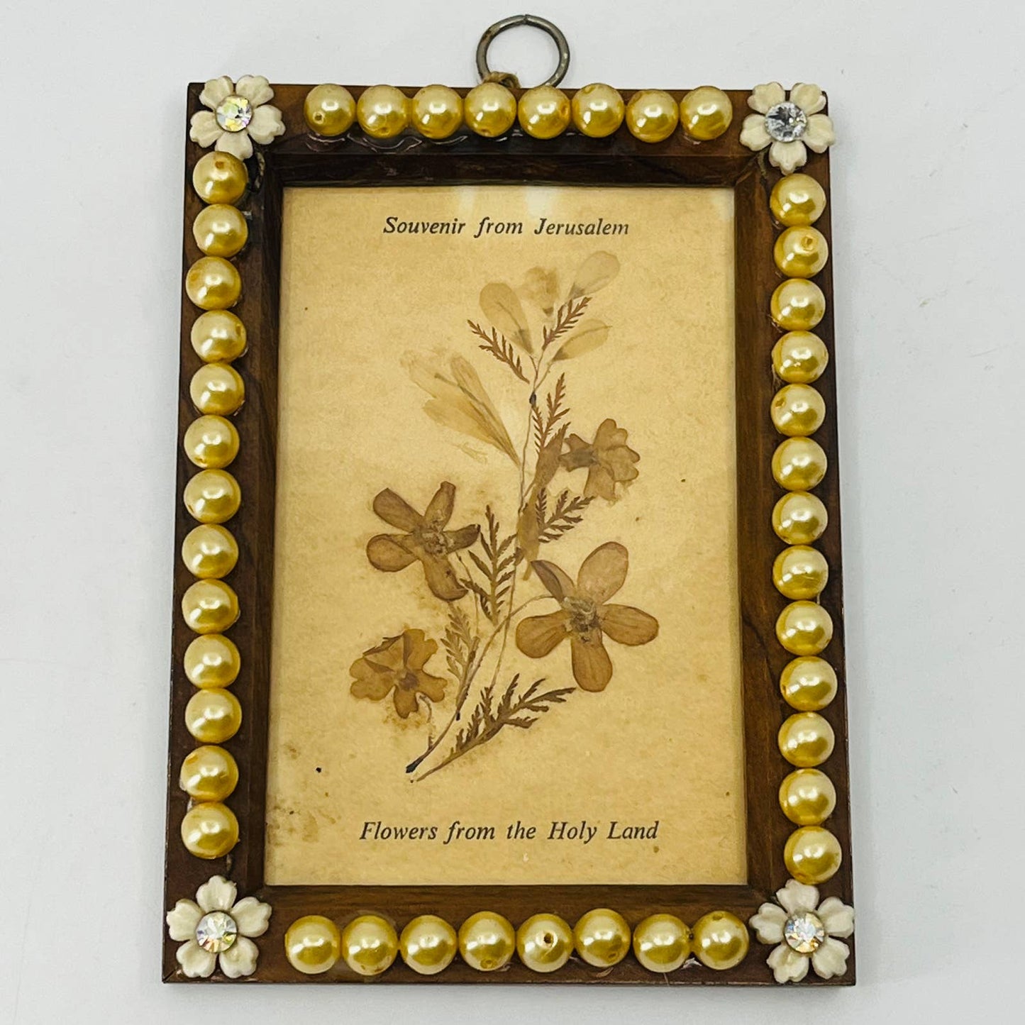 1960s Souvenir Dried Flowers From Jerusalem Olivewood Frame 4x5” A. Klein SB5