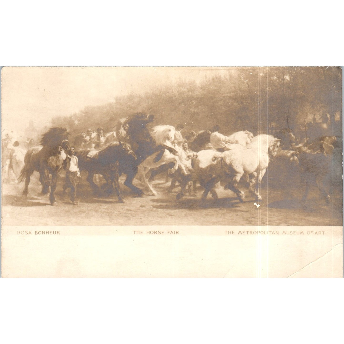 The Horse Fair - Metropolitan Museum of Art RPPC Original Postcard P2-7