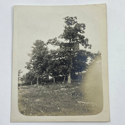 1903 Original Photo Tree house Built By Americans Ulster Co NY At Tuxpam AC7