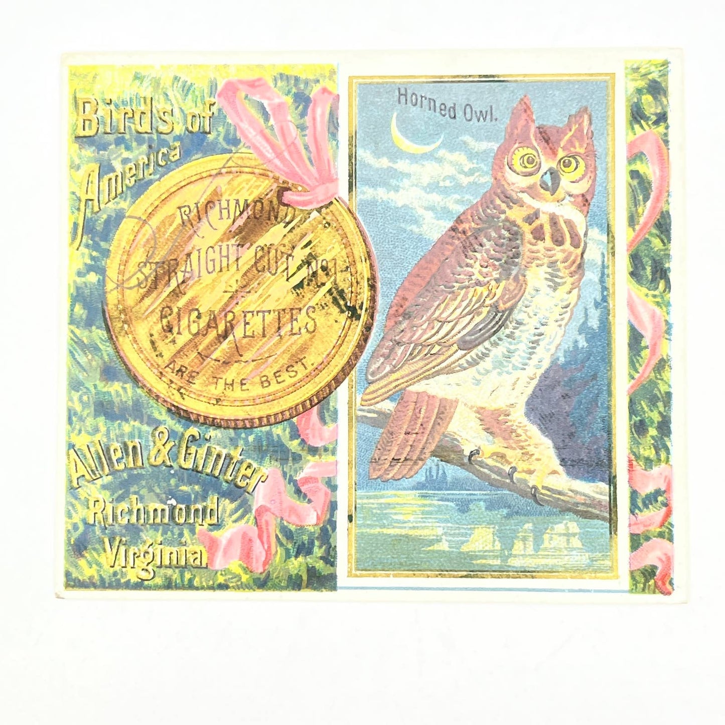 1890 N37 Allen & Ginter Cigarette Card Birds of America Horned Owl AC2