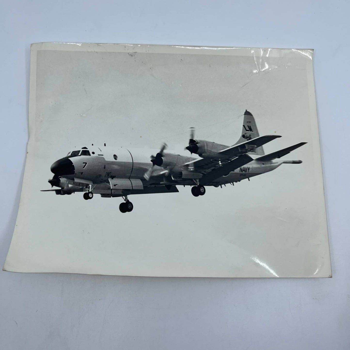 1940s WWII Navy Aircraft Photo 8x10  LN 7 VP-44 AA6