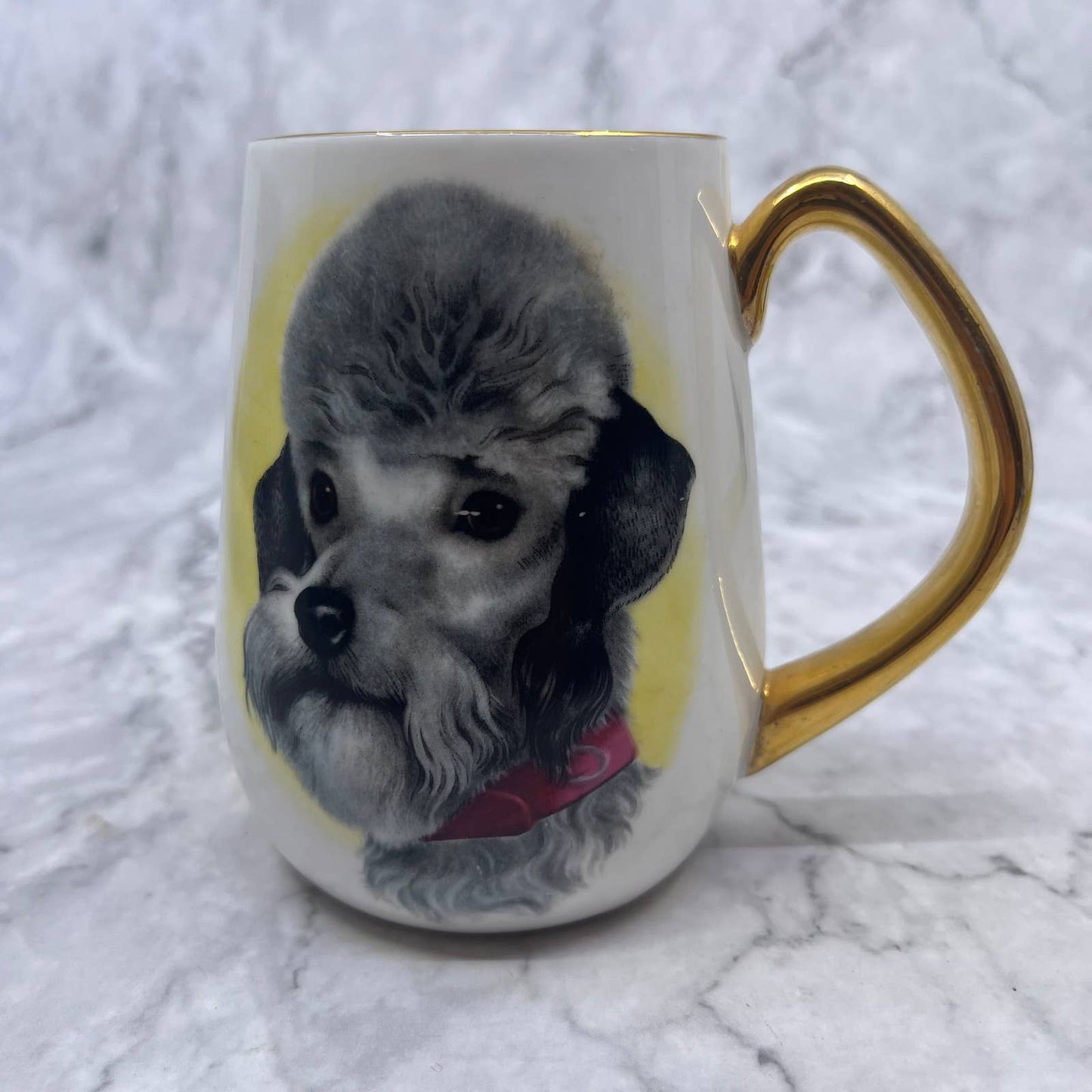 Vintage Poodle Dog Ivory Porcelain Coffee Tea Cup Mug Made in England Rosina TI8