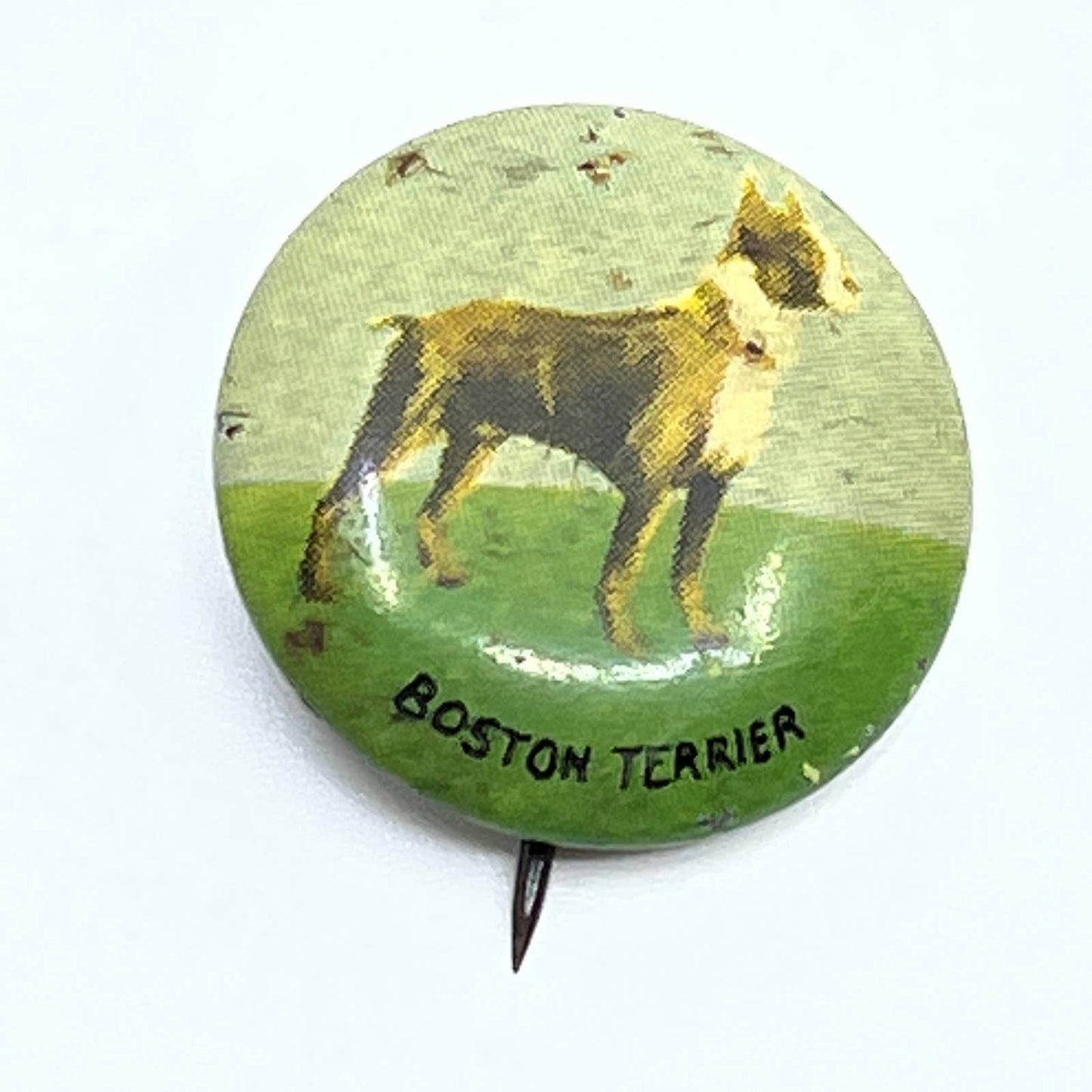 Vintage 1930s Boston Terrier Dog Celluloid Pinback Button SD9