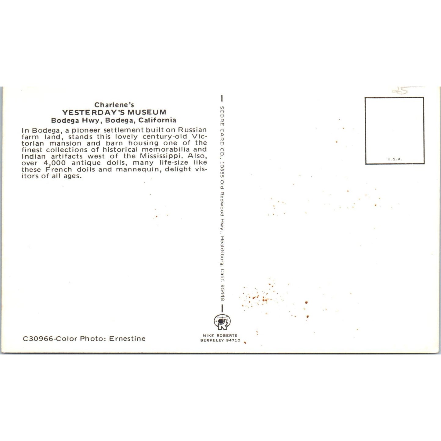 Charlene's Yesterday Museum Bodega CA Antique Dolls Original Postcard PB7