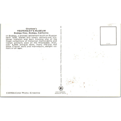 Charlene's Yesterday Museum Bodega CA Antique Dolls Original Postcard PB7