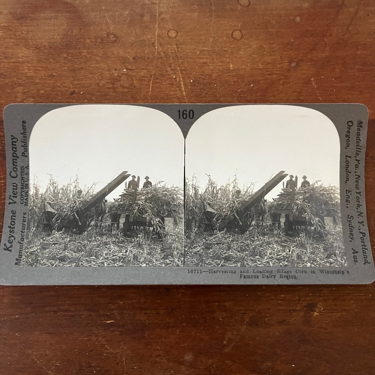 Harvesting Silage Corn Wisconsin's Dairy Region Antique Stereoview Card TJ9-V1