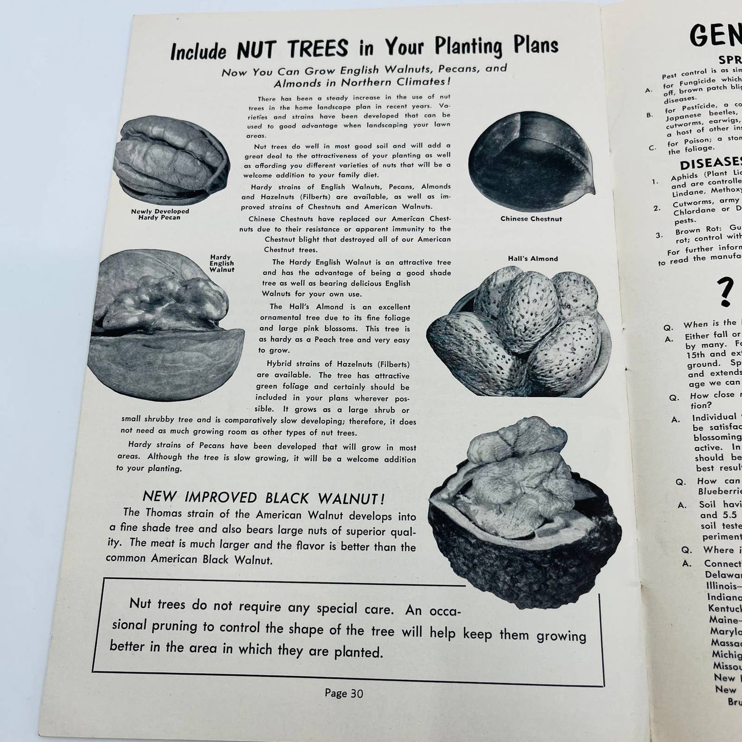 1950s Emlong Nurseries Stevensville MI Guide to Better Gardening Booklet BA4
