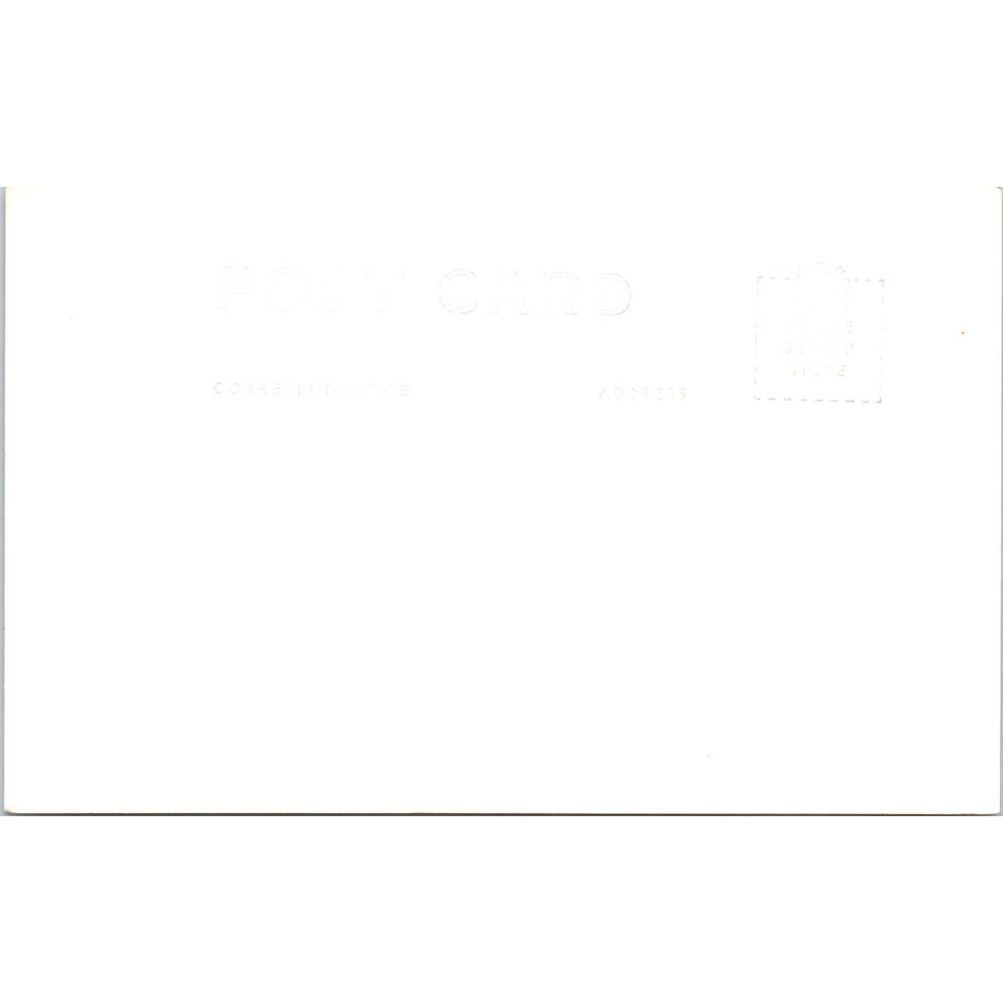 RPPC Photo of an Elk Original Postcard TK1-30