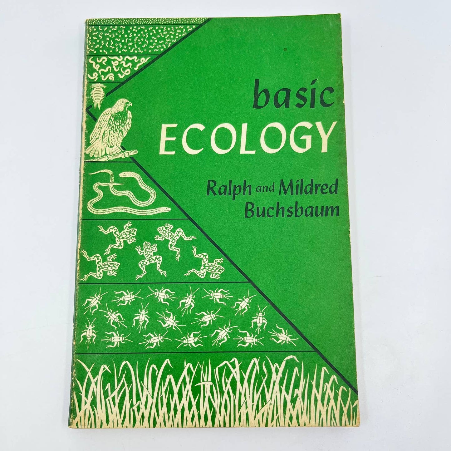 1957 Basic Ecology by Ralph and Mildred Buchsbaum TE9