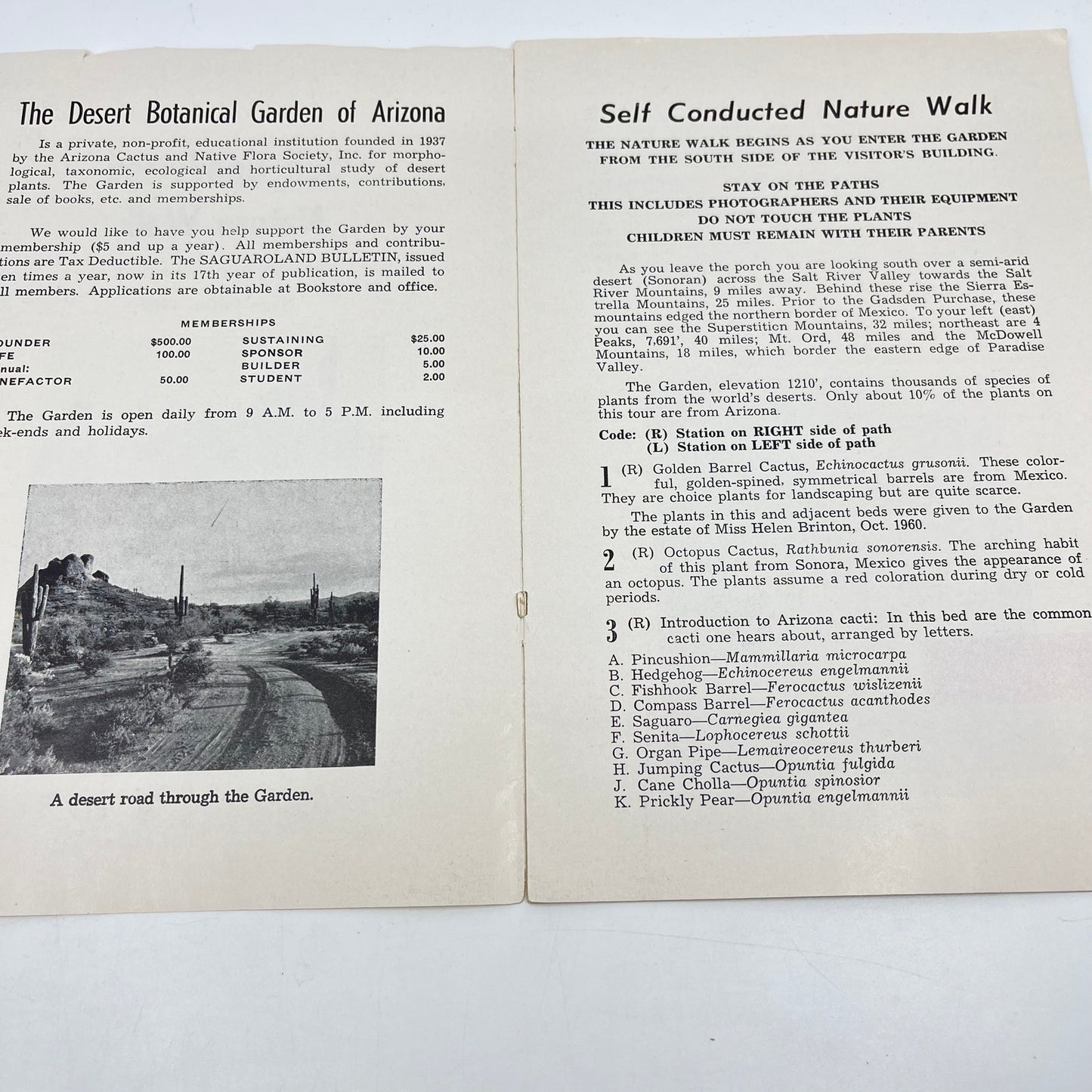 1962 Self Conducted Nature Walk Botanical Garden AZ Barnes Butte Papago Park L4-6
