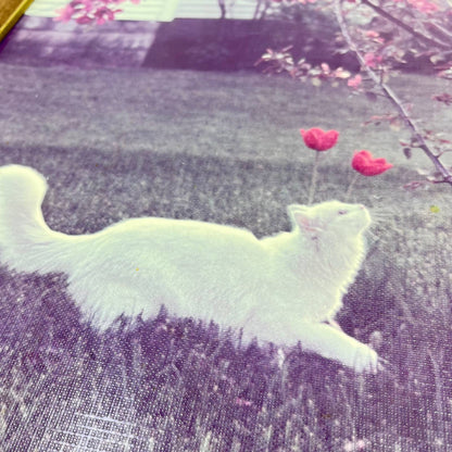 1970s Photograph Print Long Haired White Cat by Cherry Blossom Tree 12x15” TE6