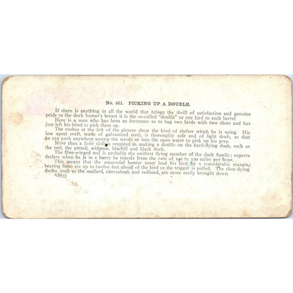 Victorian Duck Hunting "Picking up a Double" - Antique Stereoview Card TJ1-C1