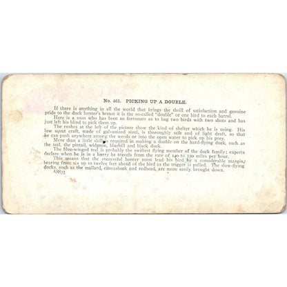 Victorian Duck Hunting "Picking up a Double" - Antique Stereoview Card H3-2