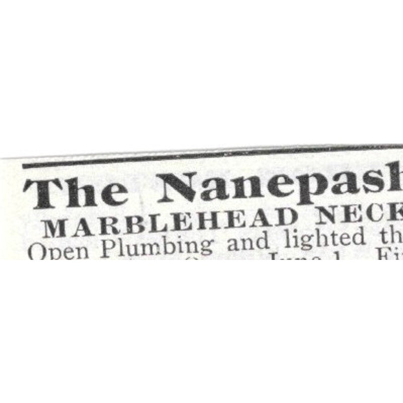 The Nanepashemet Marblehead Neck MA E.G. Brown - 1903 Original Ad AK5-S28