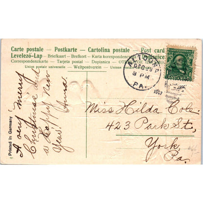 Robins Birds Embossed Air Brushed 1907 Original Postcard TK1-28