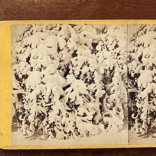 Niagara in Winter Snow Corals E. & H.T. ANthony & Co Antique Stereoview H2-6