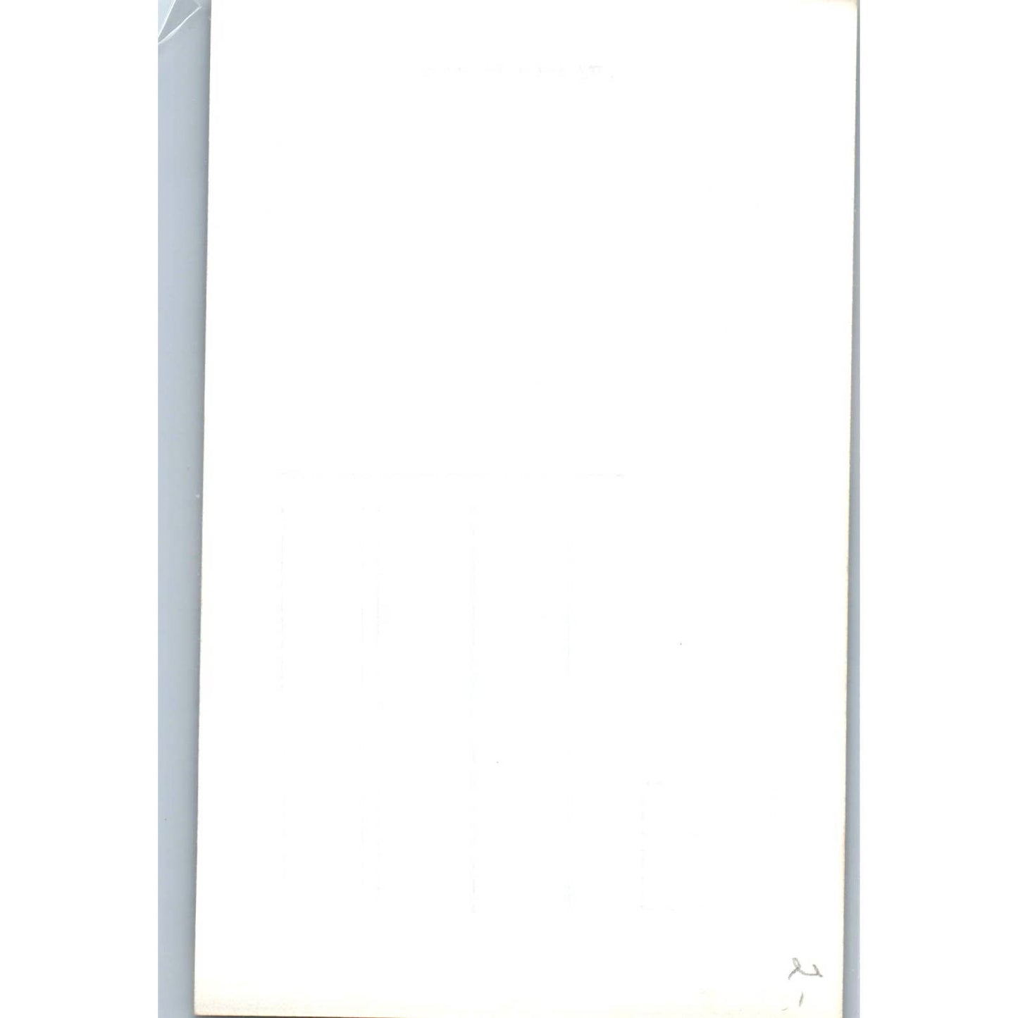 Palmeras Cuautla Mor. Mexico - Original RPPC Postcard TJ7-MP