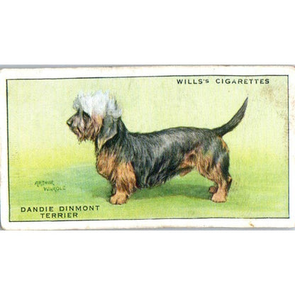wills cigarette cards dogs 1930s Wills Cigarette Card Dogs #41 Dandie Dinmont Terrier SE5 – Everyday Ephemera wills cigarette cards dogs 1930s Wills Cigarette Card Dogs #41 Dandie Dinmont Terrier SE5 – Everyday Ephemera