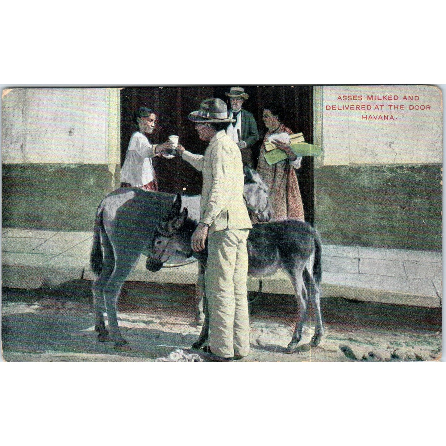 Goats Milked & Delivered at the Door Havana Cuba Original Postcard P3-1
