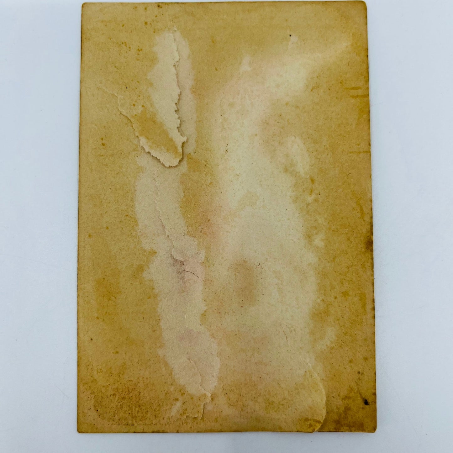 1880s Victorian Trade Card Rotary Shuttle Sewing Machine Chicago SAH9-M11