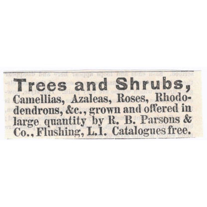 Trees and Shrubs R.B. Parsons & Co. Flushing LI - Ad 1878 Original TJ7-L2-1