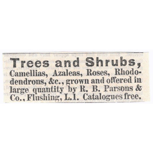 Trees and Shrubs R.B. Parsons & Co. Flushing LI - Ad 1878 Original TJ7-L2-1