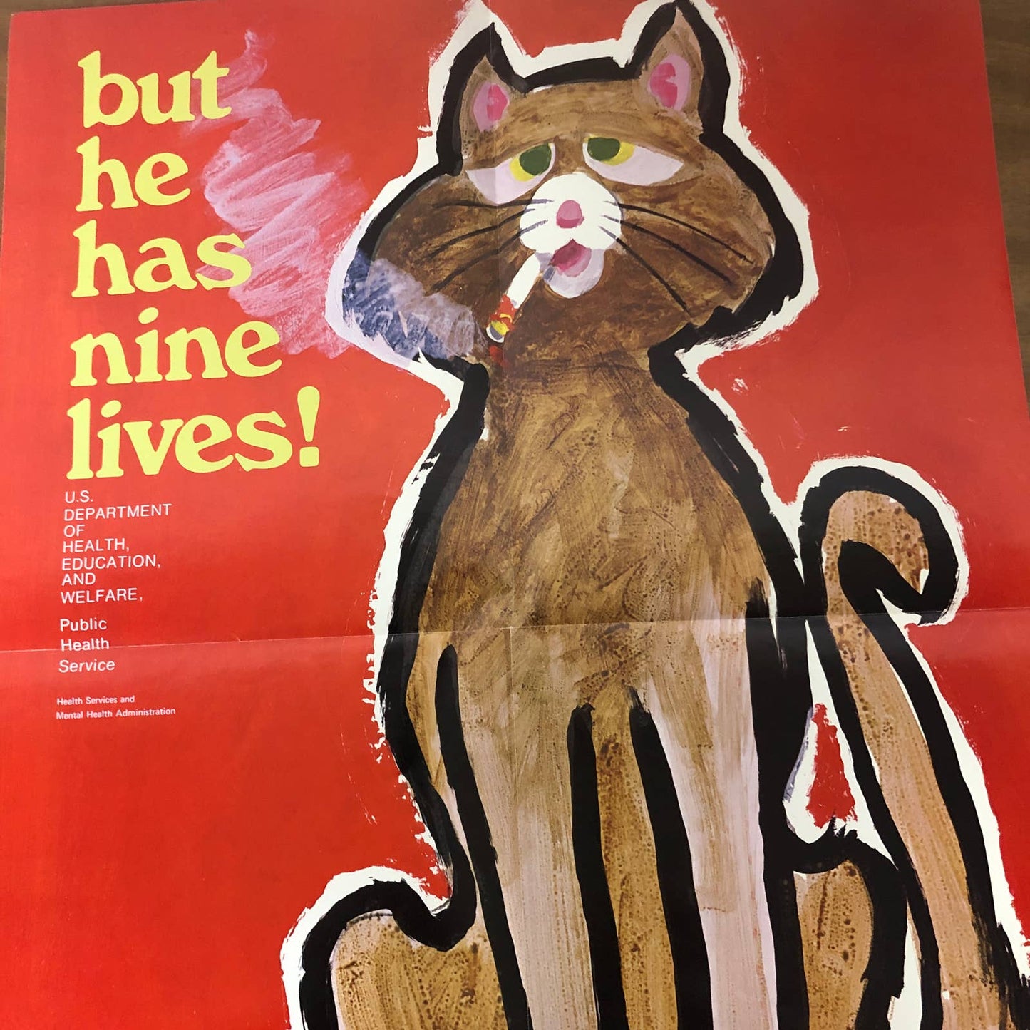 Rare 1970s Anti-Smoking School Poster But he has nine lives! Cat 21 x 16” AC9