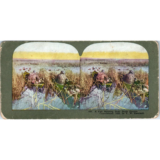 Victorian Duck Hunting "Morning Over Duck Decoys" Antique Stereoview Card TJ1-C1