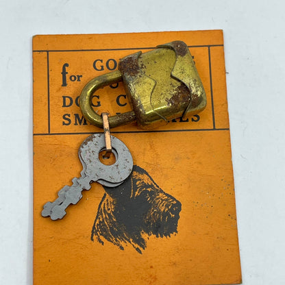 Vintage NOS Padlock For Golf Bags Luggage Dog Collars Small Boxes w/ Keys SD6