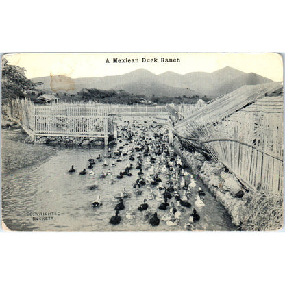 A Mexican Duck Ranch - Original Postcard TJ9-P1