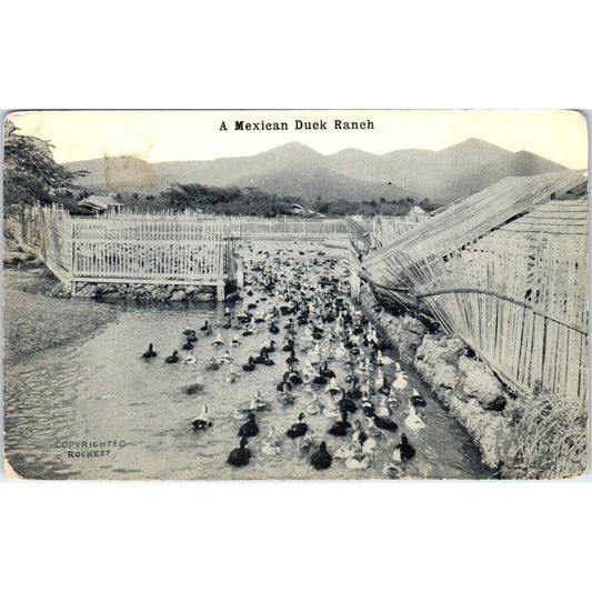 A Mexican Duck Ranch - Original Postcard TJ9-P1