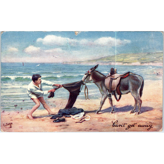Ripping Time Humor Mule Stealing Clothes Raphael Tuck Oilette Postcard P3-2