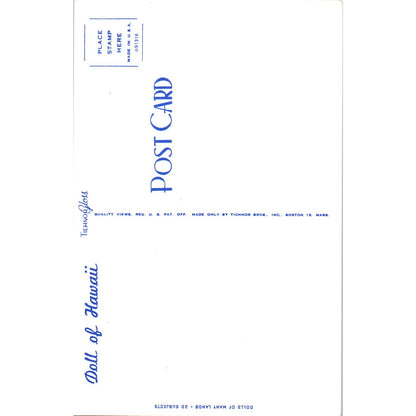 Doll of Hawaii - Dolls of Many Lands Series Original Postcard PB4