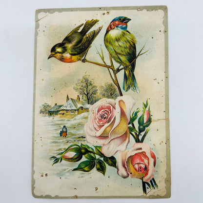 1880s Large Victorian Trade Card Lion Coffee Woolson Toledo OH 6” Birds AA5