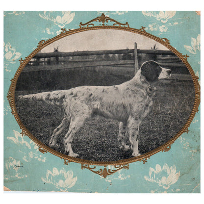 Antique Victorian English Pointer Hunting Dog Photo ~6.5" AD1