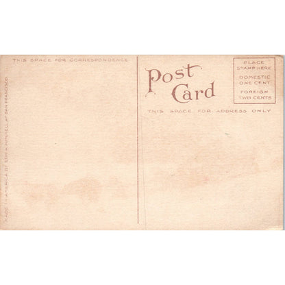 Yukon Dog Team Freighting Canyon in Alaska Original Postcard TK1-30