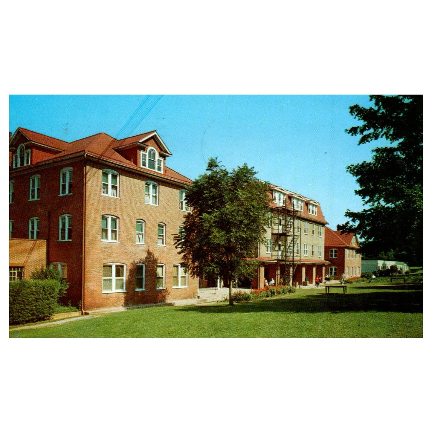 Vintage Postcard - Front Lawn and Hotel Harrisonburg Virginia 1963 TJ7-1