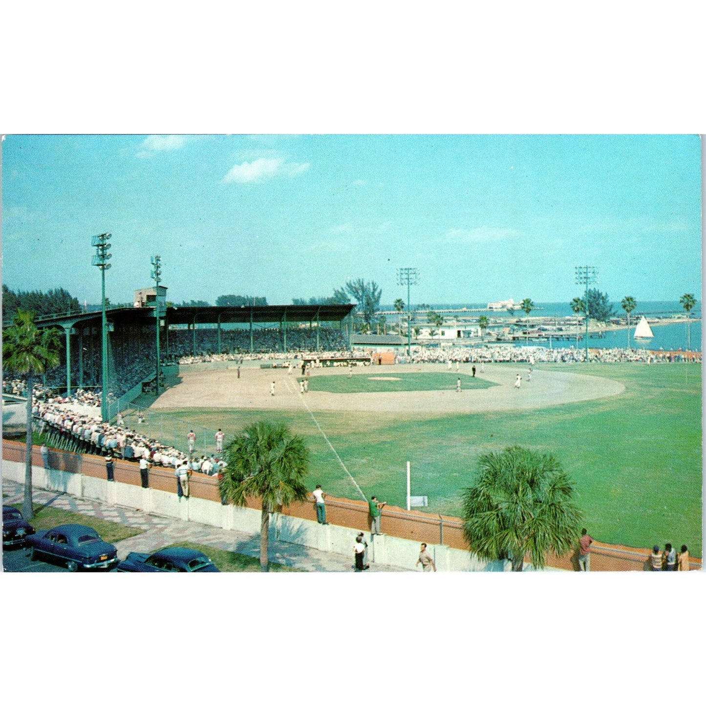 Al Lang Field Tampa Bay FL Sunshine City Lusterchrome Original Postcard P1-13