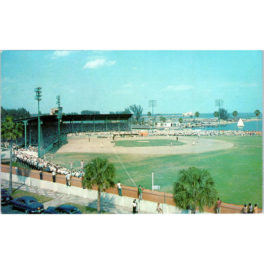 Al Lang Field Tampa Bay FL Sunshine City Lusterchrome Original Postcard P1-13