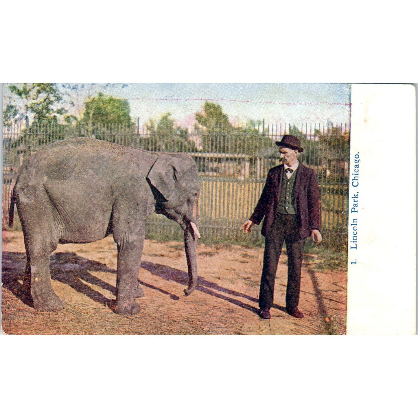 c1910 Postcard Man and Elephant in Lincoln Park Chicago IL EA3