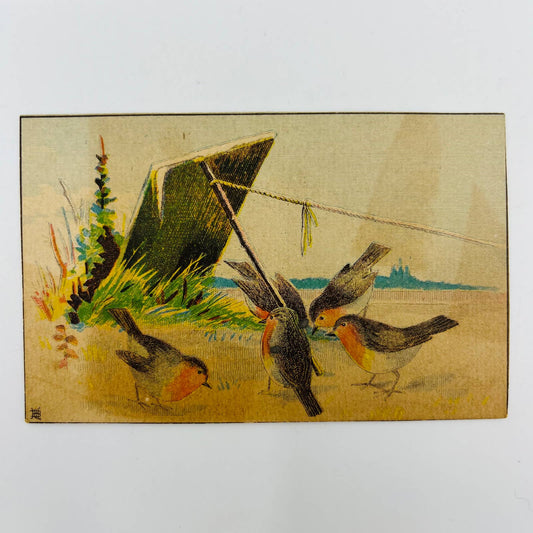 1880s Victorian Trade Card O. Rightmire Cumminsville OH Robins Bird Trap AA2-2