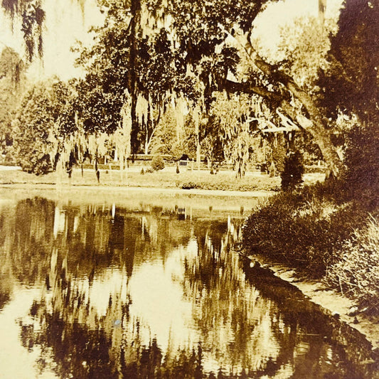 1891 Stereoview Card Magnolia Cemetery Charleston South Carolina