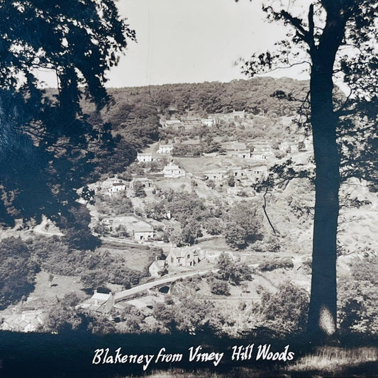 Vintage Post Card Bird’s Eye View Blakeney from Viney Hall Woods England PA3