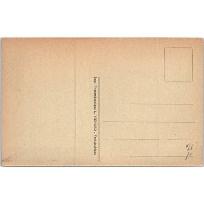 Palais de Fontainebleau Diane's Gallery Library Original Postcard P2-4