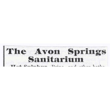 The Avon Springs Sanitarium Irving C. Allen Avon NY - 1903 Original Ad TJ7-S9