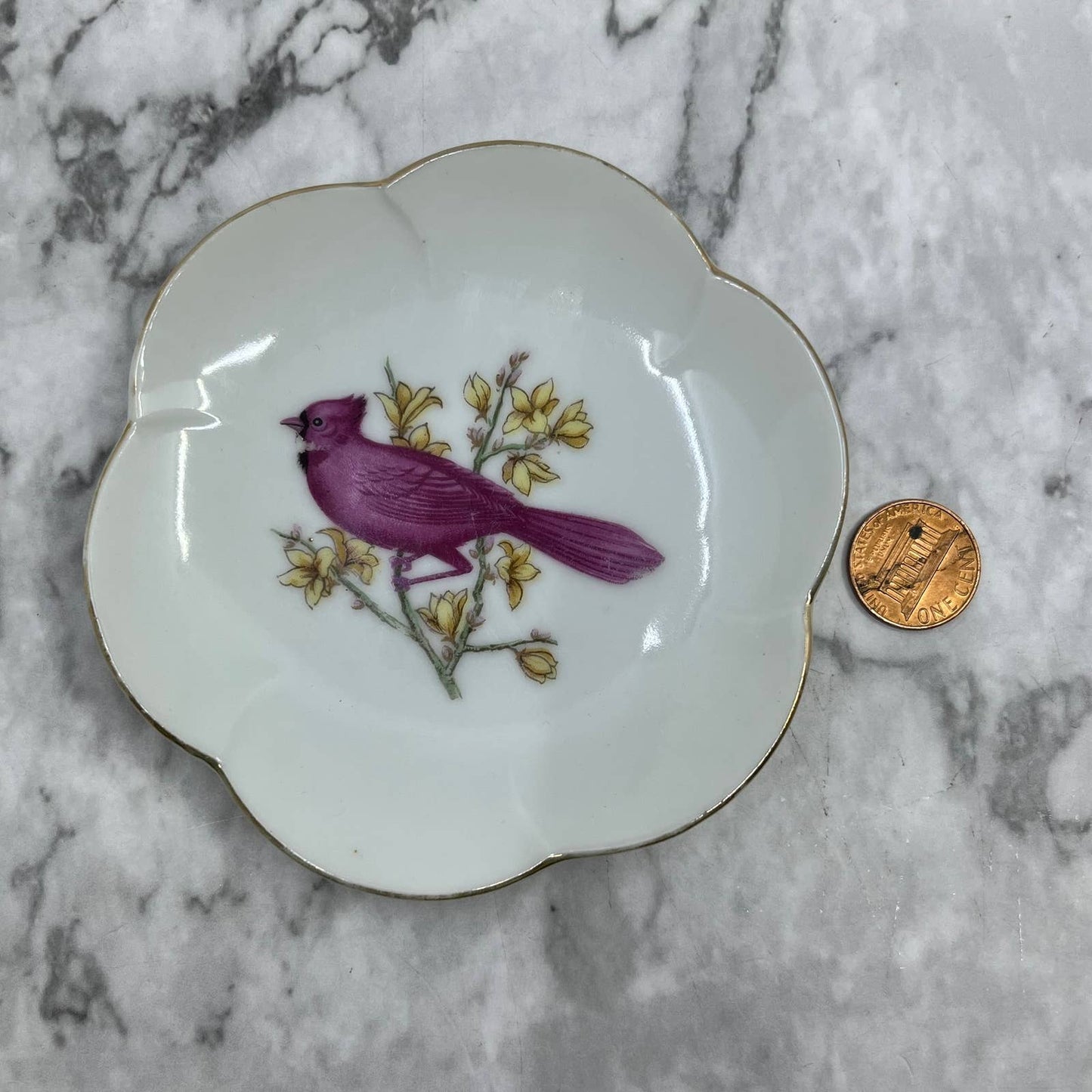 Vintage Porcelain Cardinal Scalloped Plate Tray Japan Doll Tea Party 4” TJ5