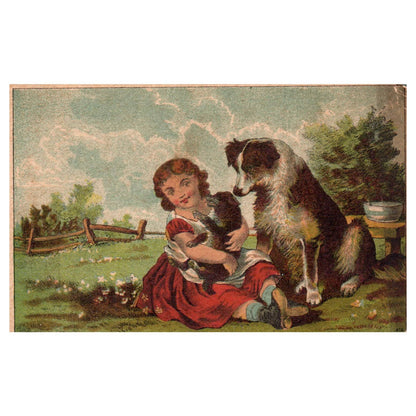 Gooch's Mexican Quick Relief Girl With Dogs - 1880s Victorian Trade Card TJ8-3