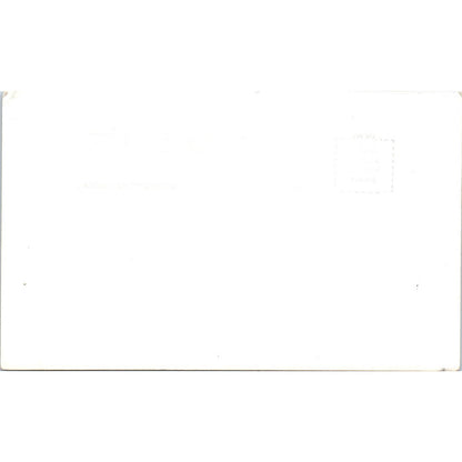 Mt. Eccles RPPC Alaska Original Postcard TK1-30