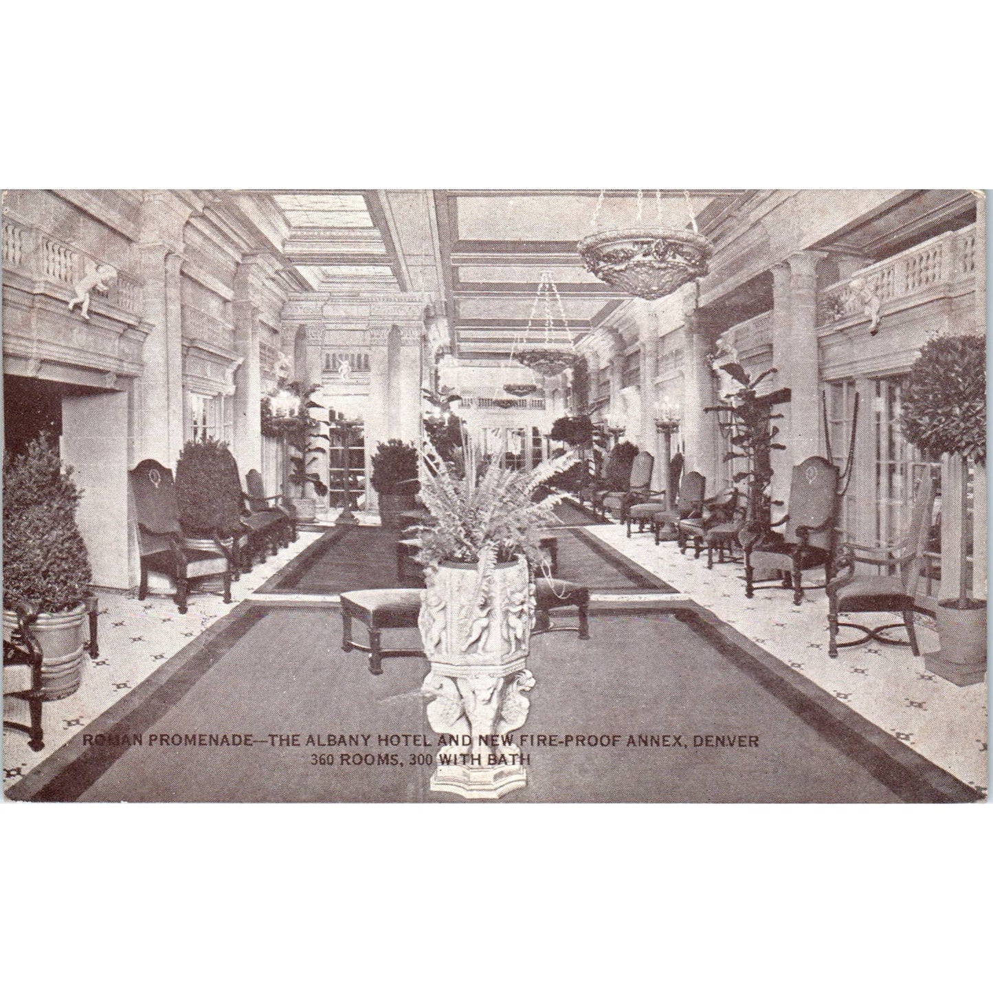 The Albany Hotel Royal Promenade Denver Colorado Original Postcard TK1-29