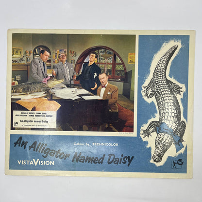 1955 An Alligator Named Daisy Donald Sinden Dors 11x14 Lobby Card British FL4